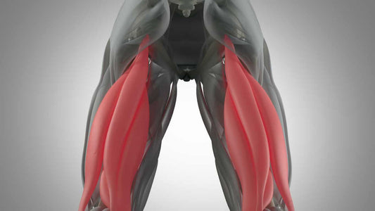 Hamstring Pain In Runners: Prevention And Recovery