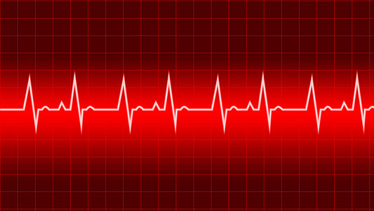Heart Rate Training: Everything You Need To Know
