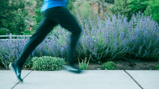 The Truth About Runner’s High: Everything You Need To Know