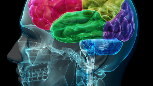 Running And Mental Health: Everything You Need To Know